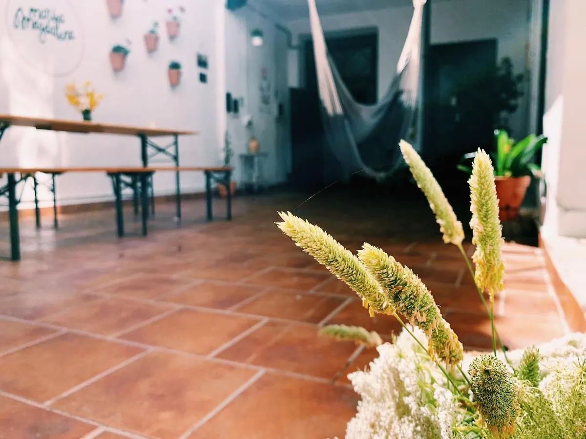 Maria Magdalena - Room 8 Malaga Guest house